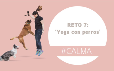 Reto 7: DOGA®(yoga para perros) dogminguero
