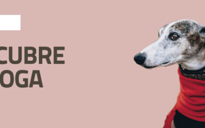 Descubre el Doga® (Yoga para perros)