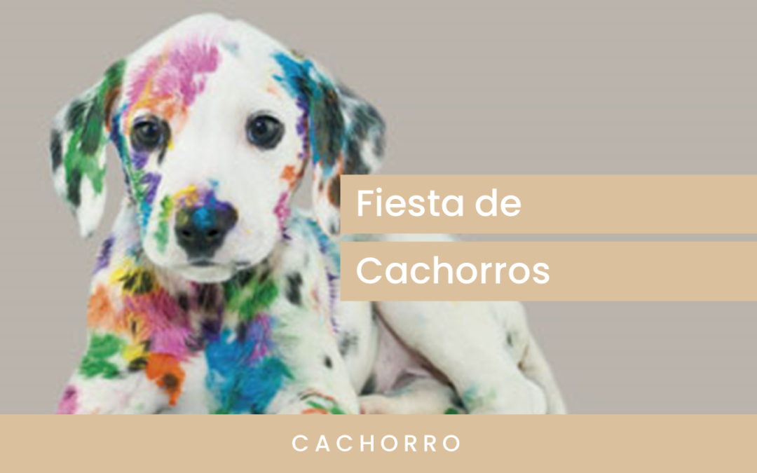 Fiesta para cachorros