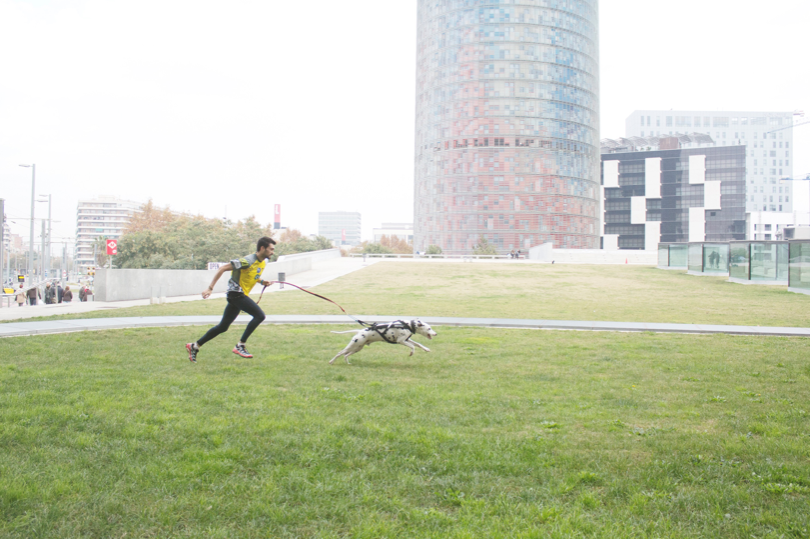 correr-perro-canicross