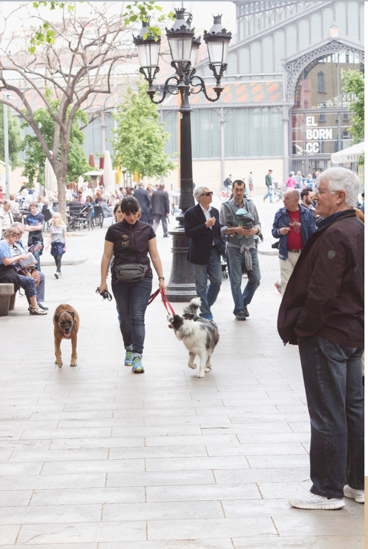 pasear-perro-barcelona
