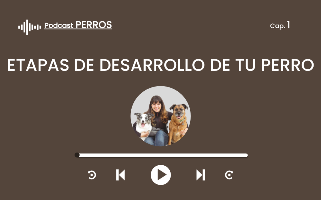 Capítulo 1. Etapas de desarrollo de tu perro