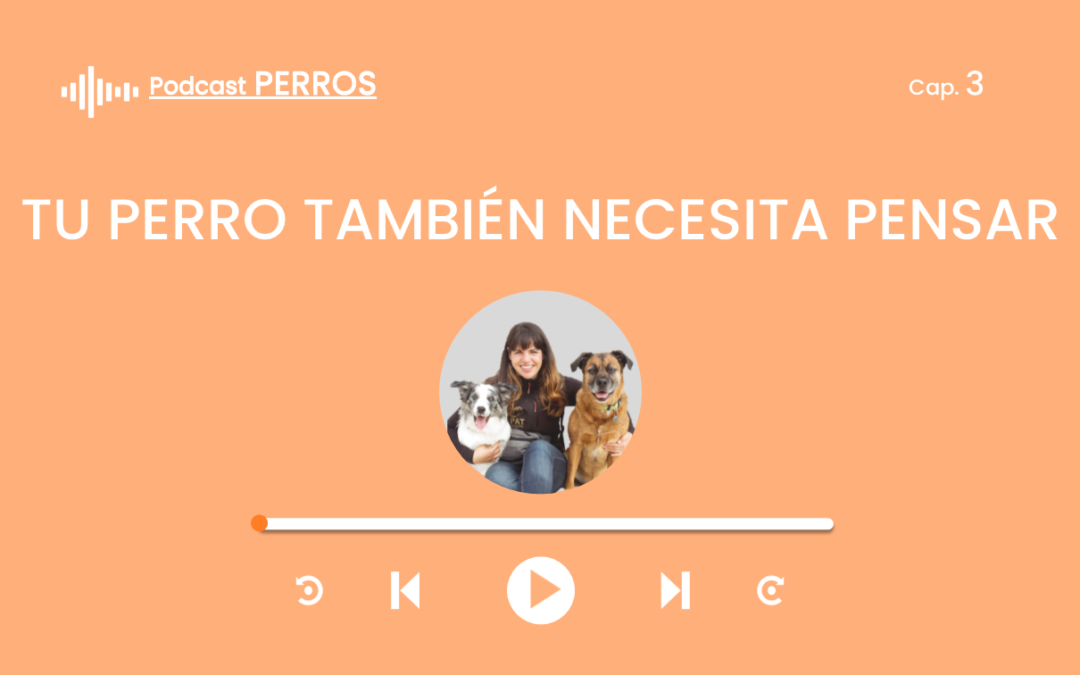 Capítulo 3. Tu perro también necesita pensar