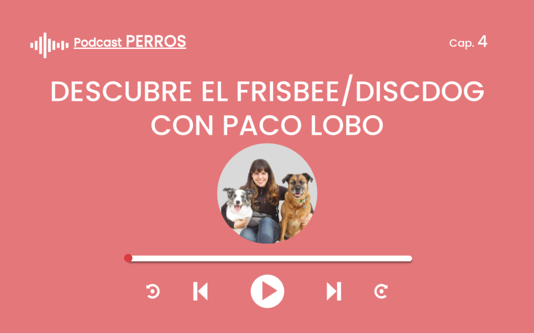 Capítulo 4. Descubre el discdog /Frisbee (Paco Lobo)