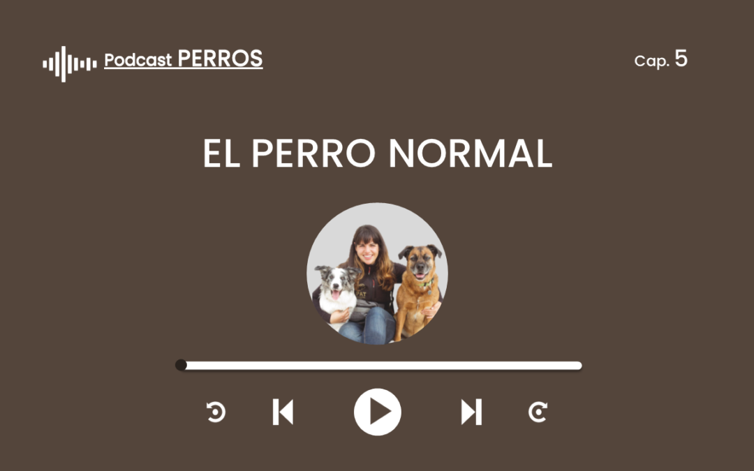 Capítulo 5. El perro normal