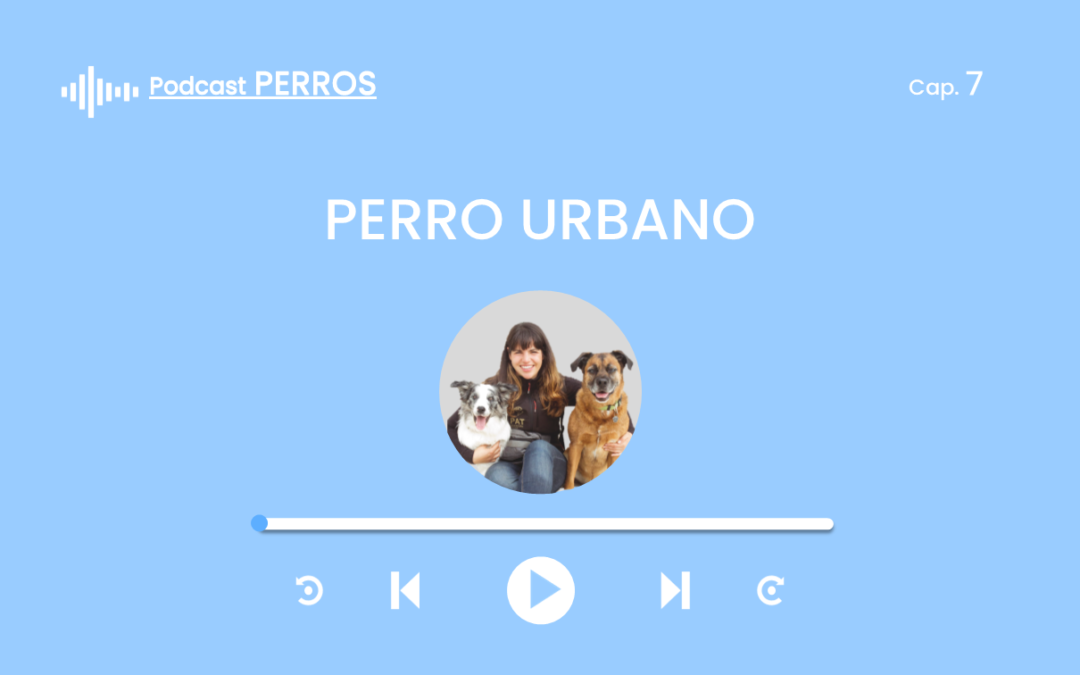 Capítulo 7. El Perro Urbano