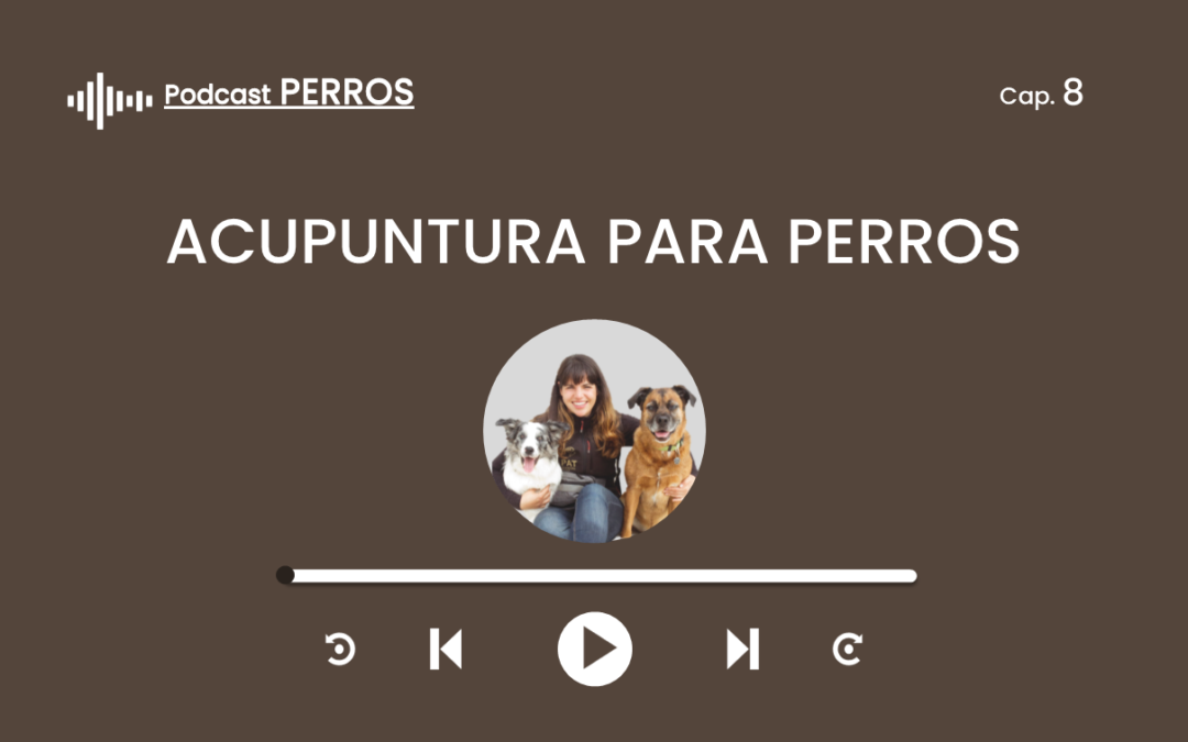 Capítulo 8. La acupuntura para perros