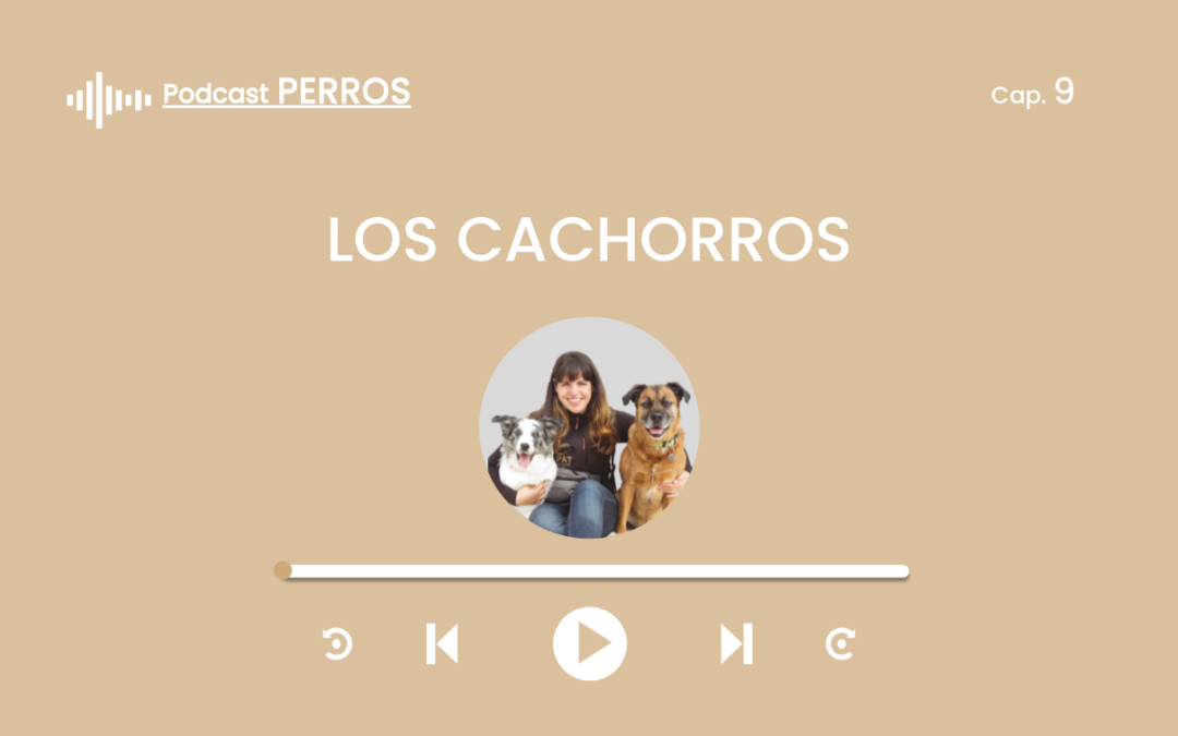 Capítulo 9. Los cachorros