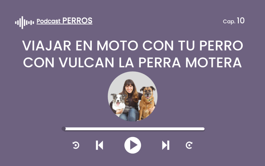 Capítulo 10. Viajar en moto con tu perro (Vulcan la perra motera)