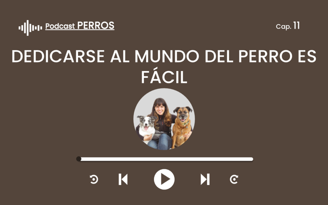 Capítulo 11. Dedicarse profesionalmente al mundo del perro es fácil