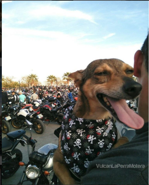 difrutando-viajando-en-moto