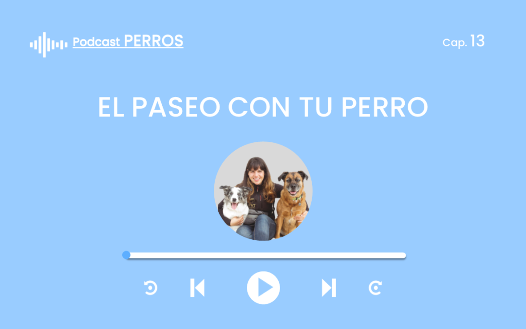 Capítulo 13.  El paseo con tu perro