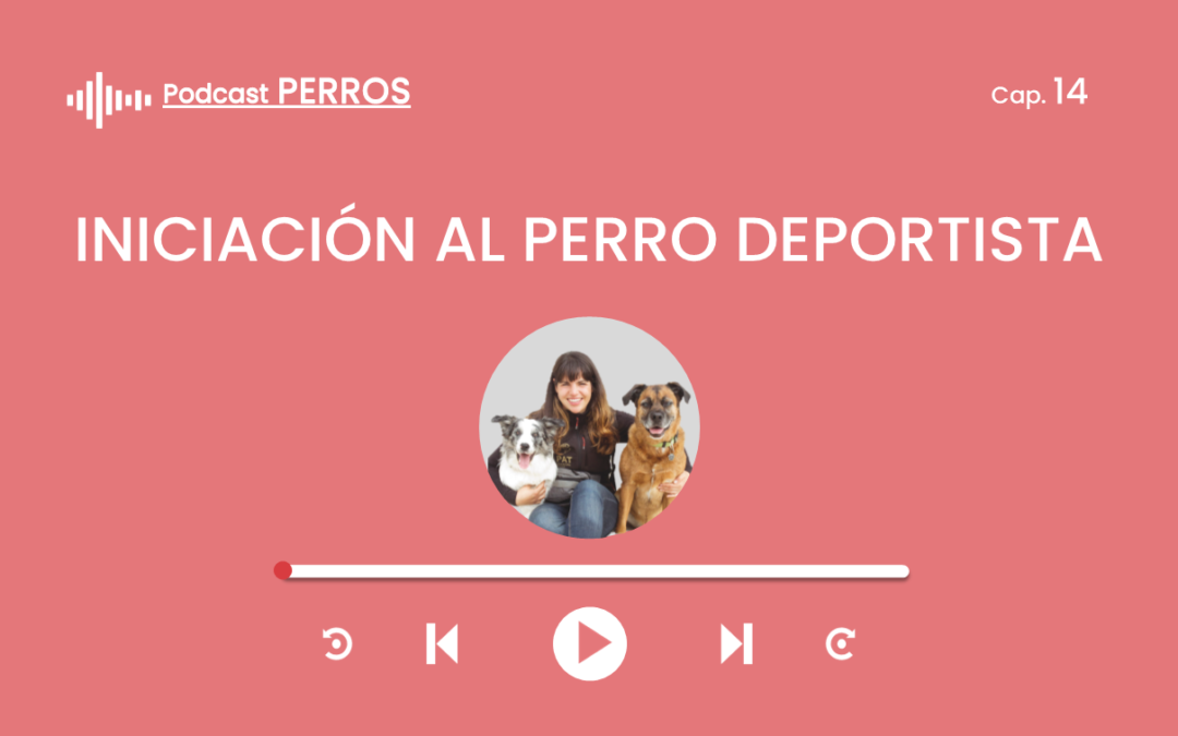 Capítulo 14. Iniciación al perro deportista