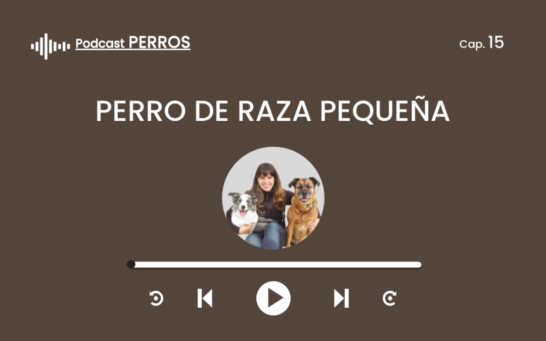 Capítulo 15. Perro de raza pequeña