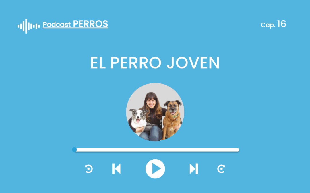 Capítulo 16. El perro joven