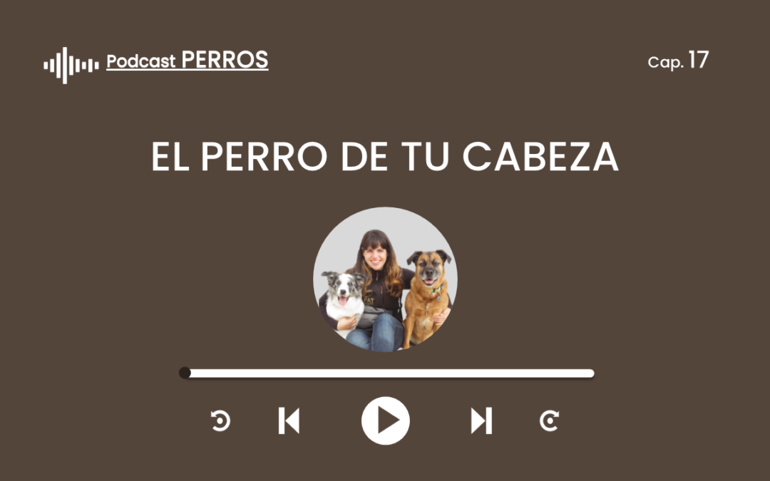 Capítulo 17. El perro de tu cabeza