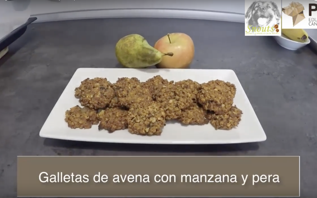 Receta canina:  Galletas de avena para perros