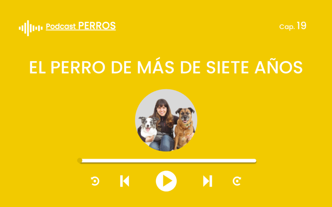 Capítulo 19. El perro de más de siete años.