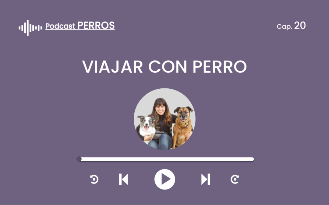 Capítulo 20. Viajar con perro