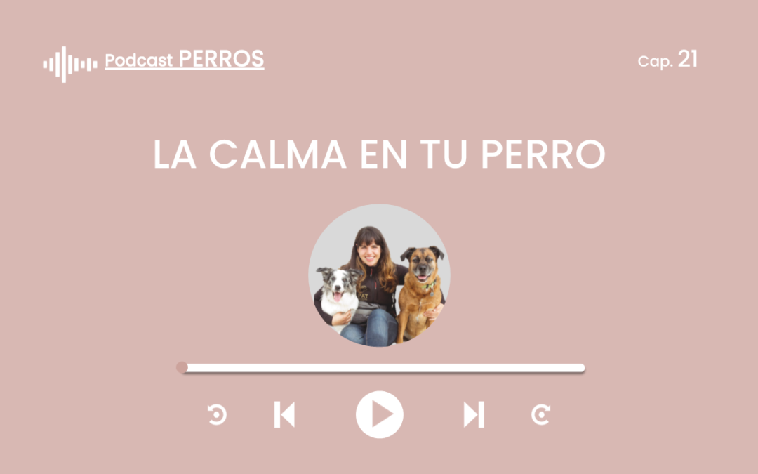 Capítulo 21. La calma en tu perro