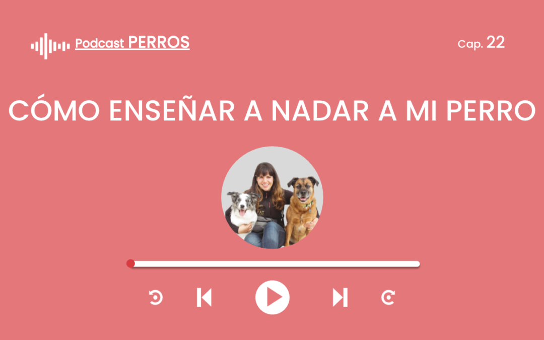 Capítulo 22. Cómo enseñar a nadar a mi perro