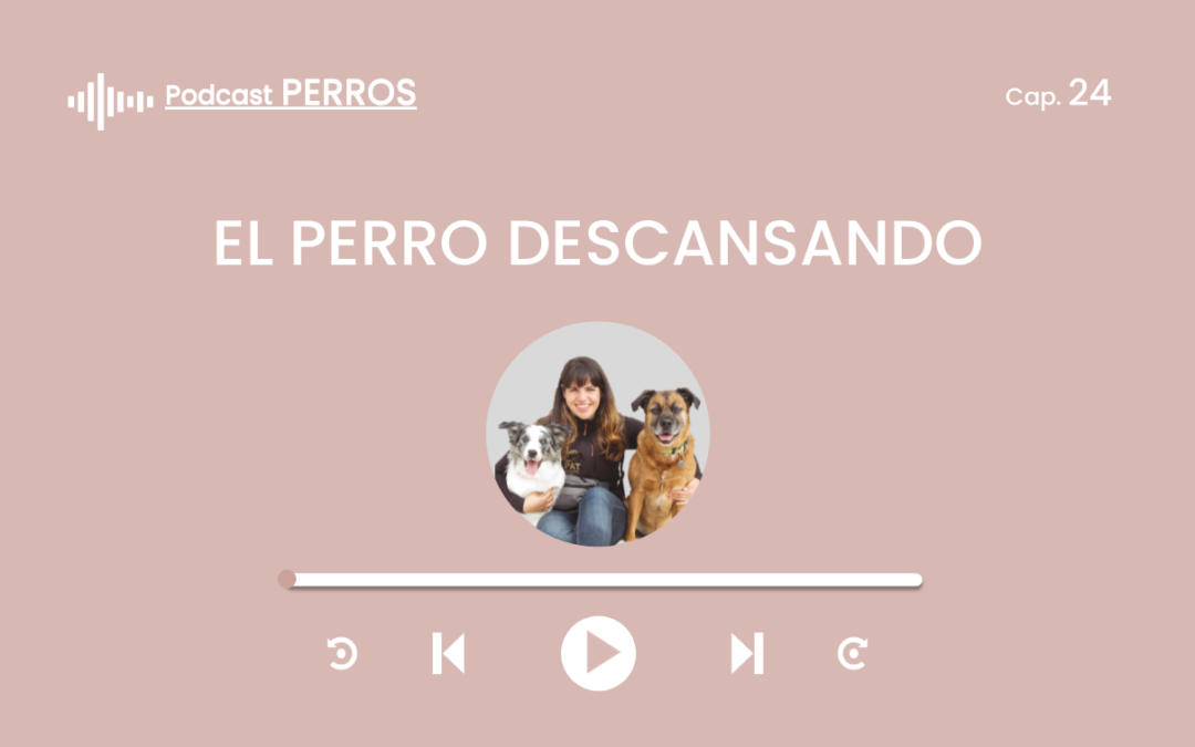 Capítulo 24. El perro descansando