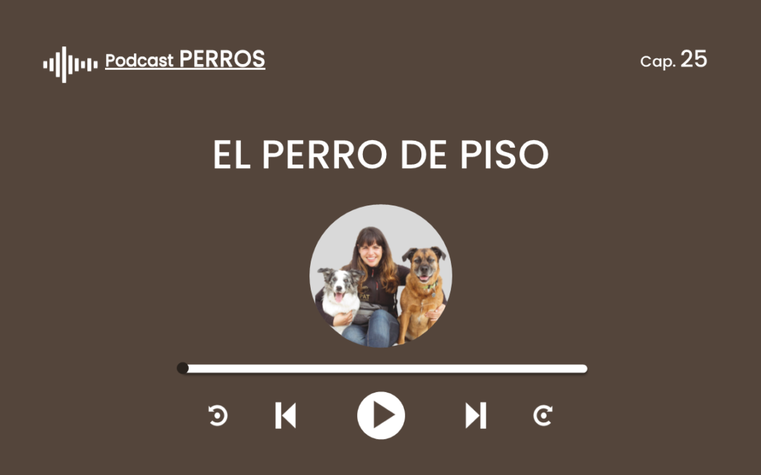 Capítulo 25. El perro de piso