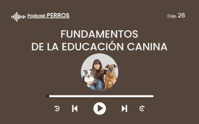 Capítulo 26. Fundamentos educación canina