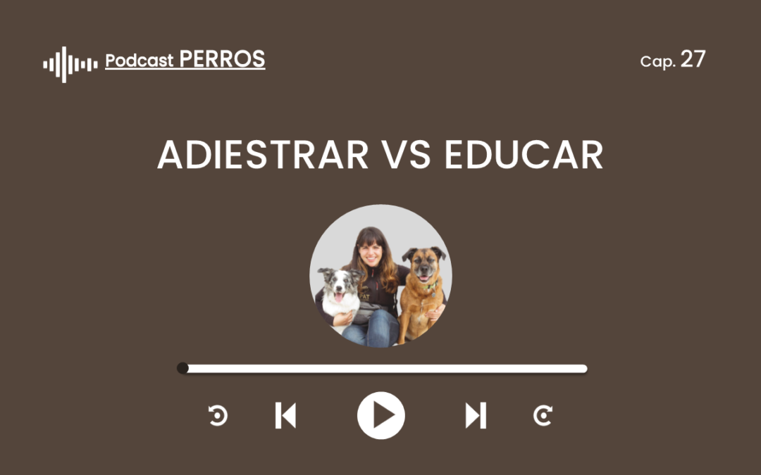 Capítulo 27. Adiestrar vs Educar