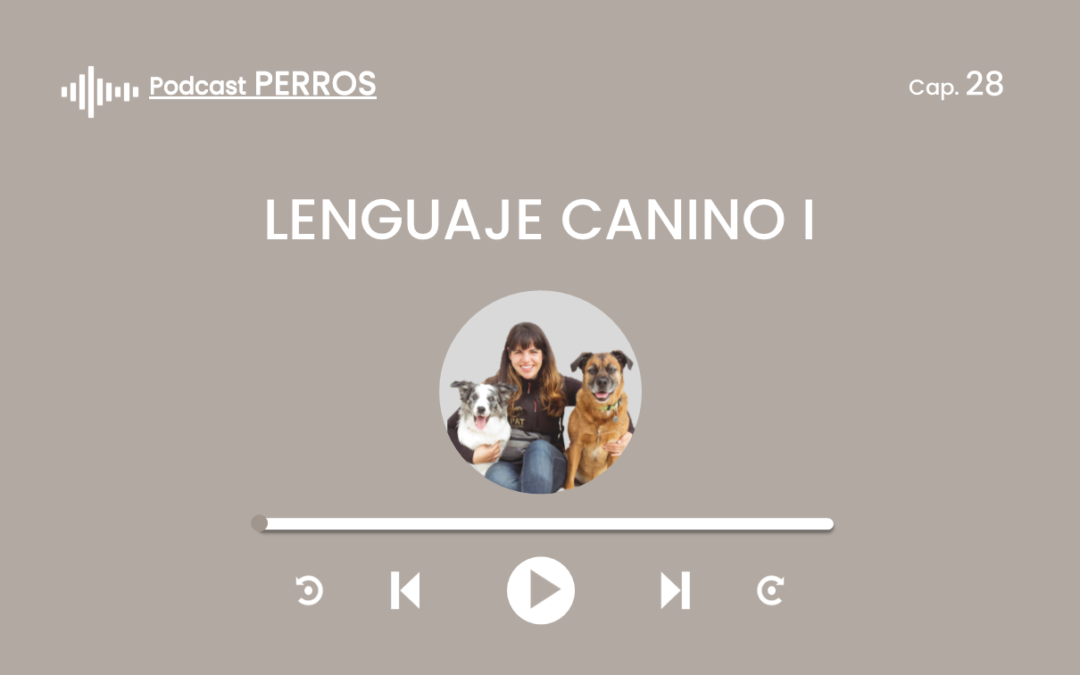 Capítulo 28. Lenguaje canino I