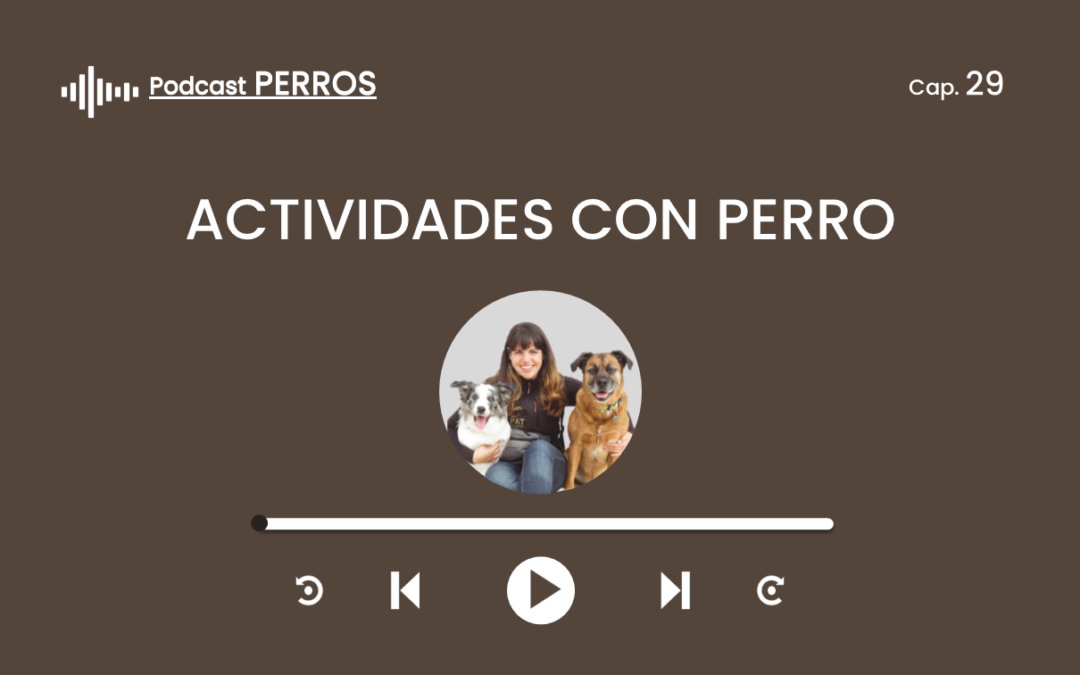 Capítulo 29. Actividades con perro