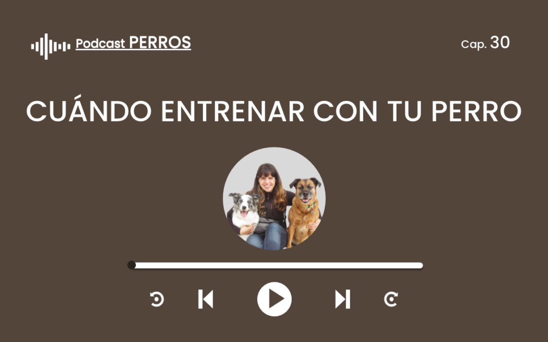 Capítulo 30. Cuándo entrenar con tu perro