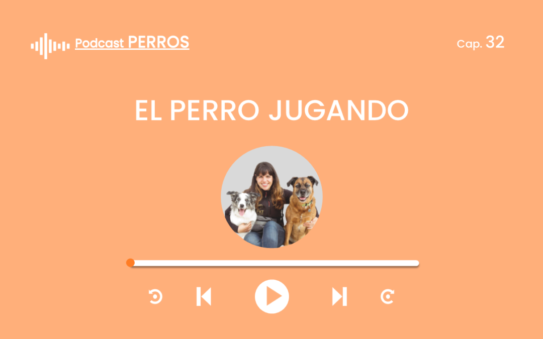 Capítulo 32. El perro jugando