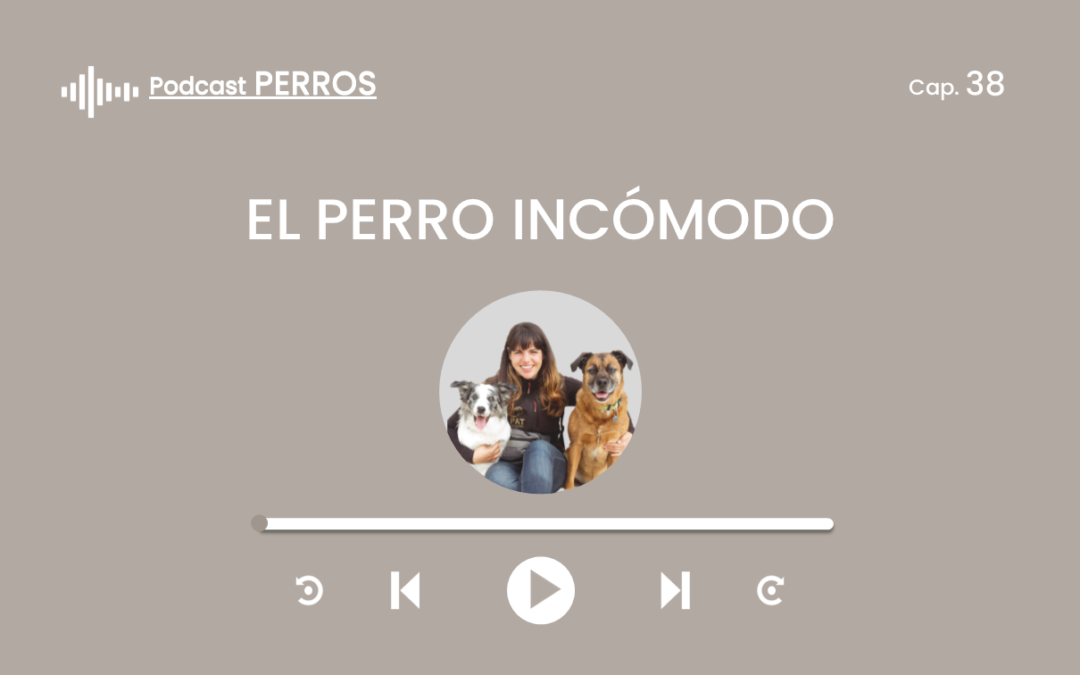 Capítulo 38. El perro incómodo