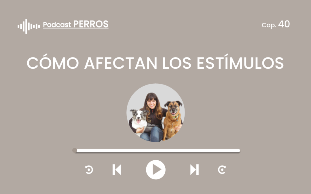 Capítulo 40. Cómo afectan los estímulos