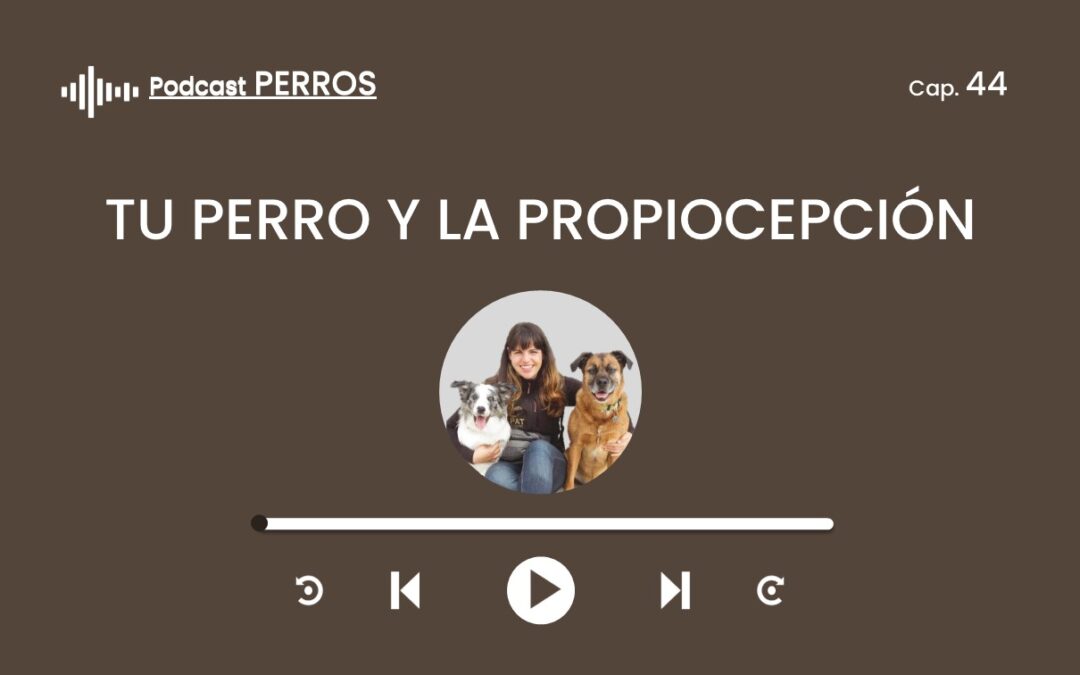 Capítulo 44. Tu perro y la propiocepción