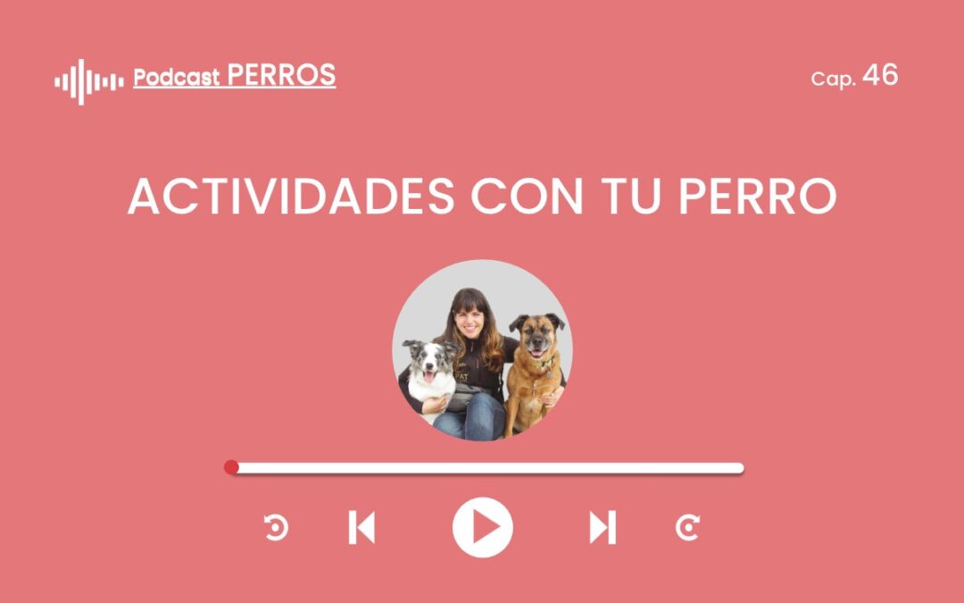 Capítulo 46. Actividades y tu perro