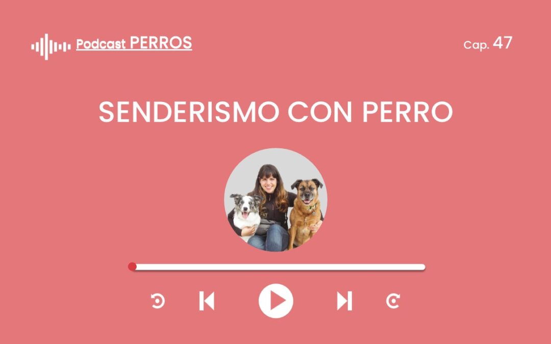 Capítulo 47. Senderismo con tu perro