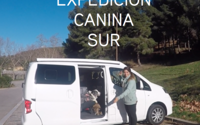 Expedición Canina Sur: Visita al veterinario