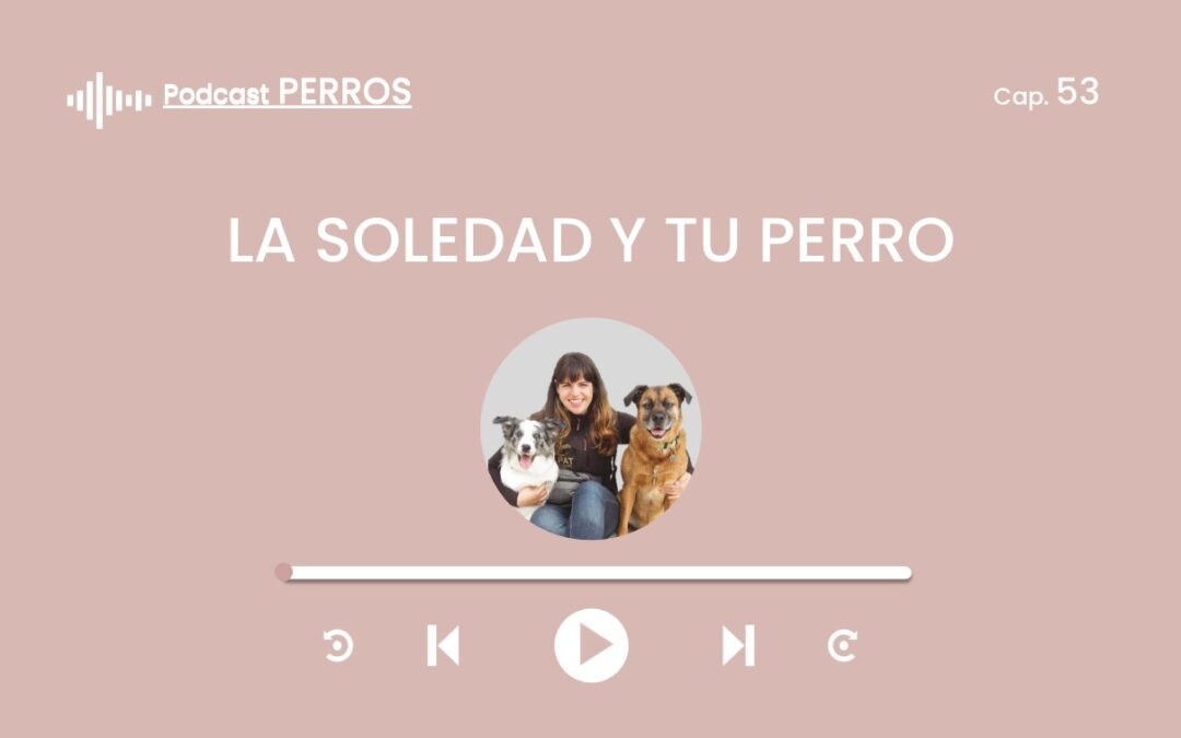 Capítulo 53. La soledad y tu perro