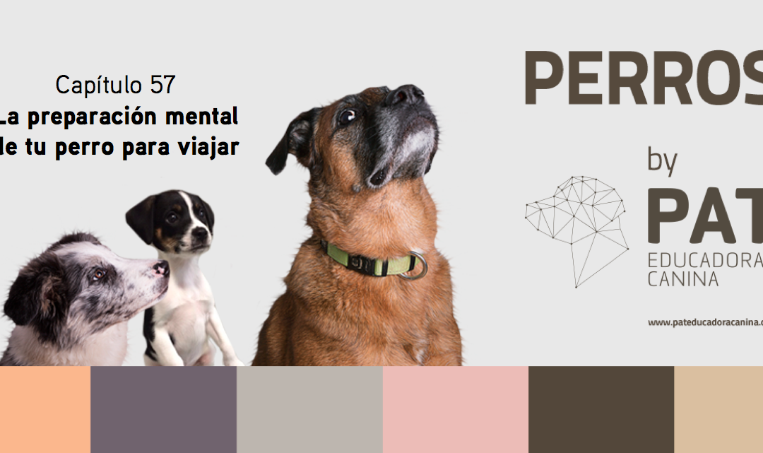 Capítulo 57. La preparación mental de tu perro para viajar