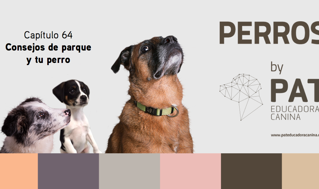 Capítulo 64. Consejos de parque y tu perro