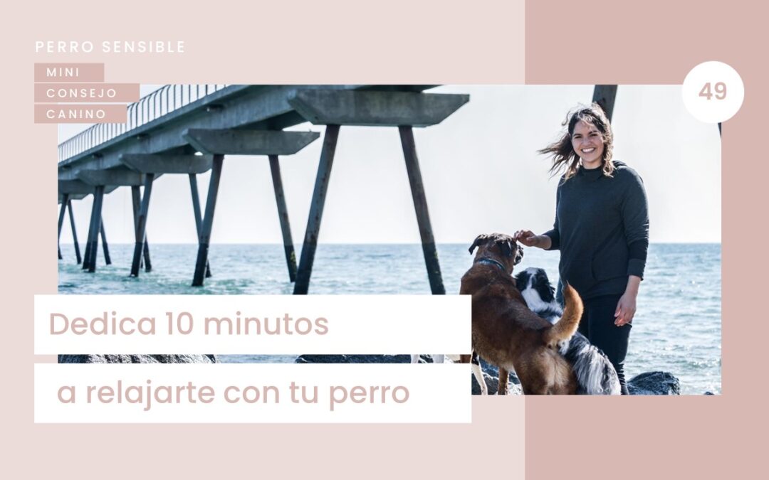 Mini-consejo Canino 49: Dedica 10 minutos a relajarte con tu perro