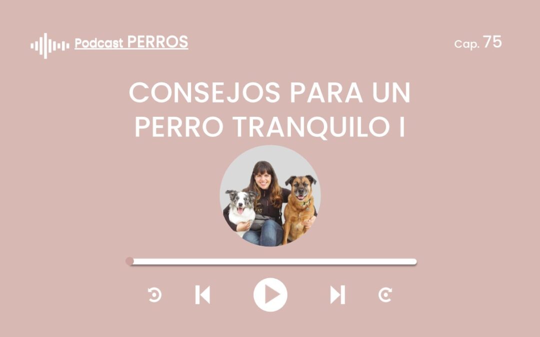 Capítulo 75. Consejos para un perro tranquilo (Parte 1 de 4)