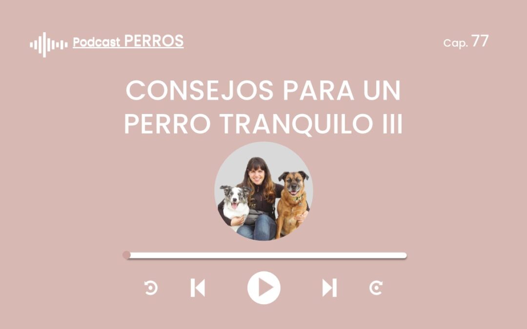 Capítulo 77. Consejos para un perro tranquilo (Parte 3 de 4)