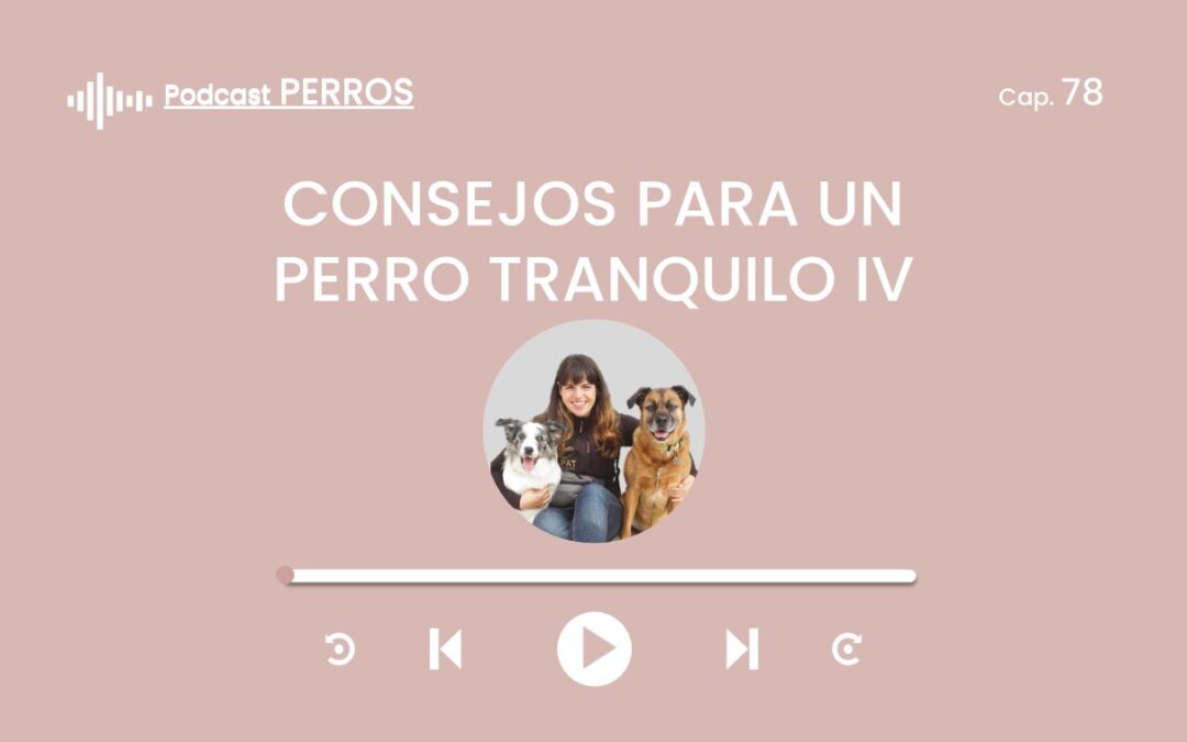 Capítulo 78. Consejos para un perro tranquilo (Parte 4 de 4)