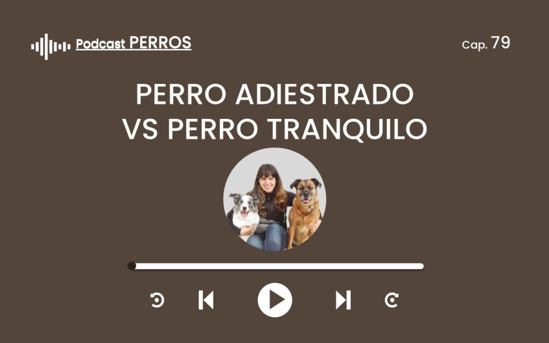 Capítulo 79. Perro adiestrado vs perro tranquilo