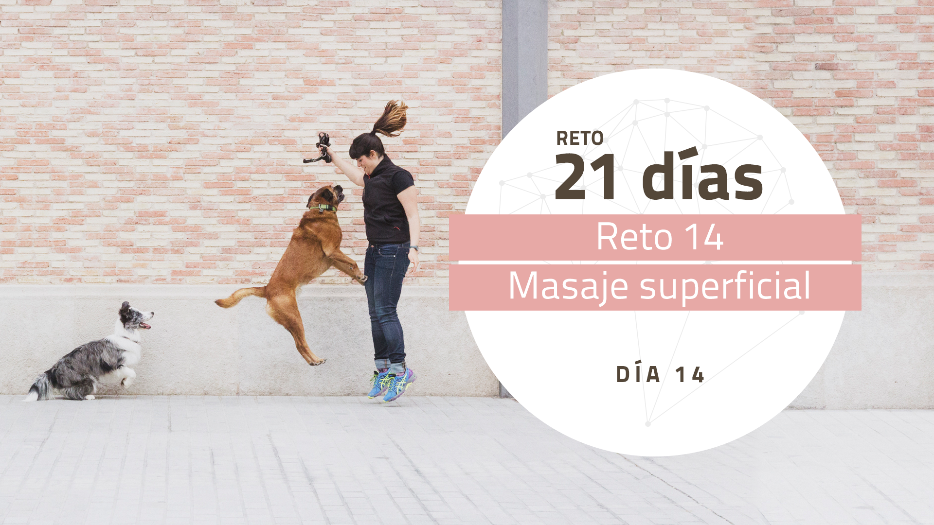 R14-PORTADA