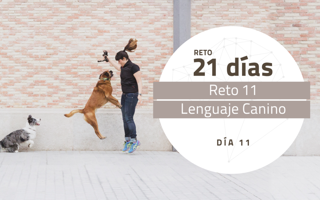 [Reto 11 – Lenguaje Canino] Reto 21 días para darle la vuelta al mundo de tu perro