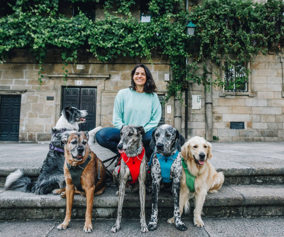 Mi perro energético